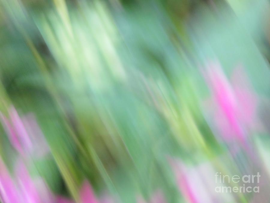 Flower Abstract Photograph by World Reflections By Sharon