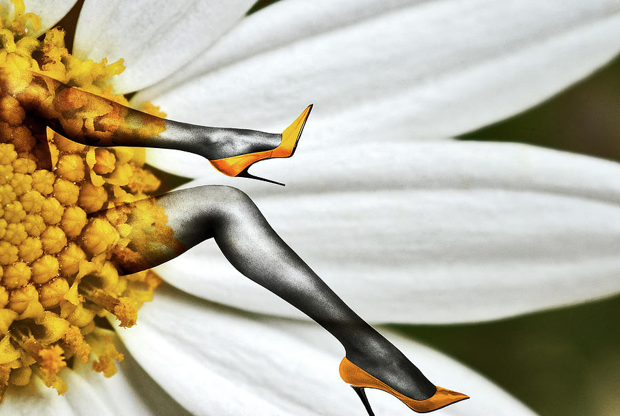 Flower and legs Photograph by Al Fio Bonina