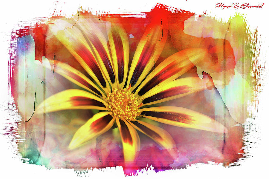 Flower art 0021 Digital Art by Kevin Chippindall