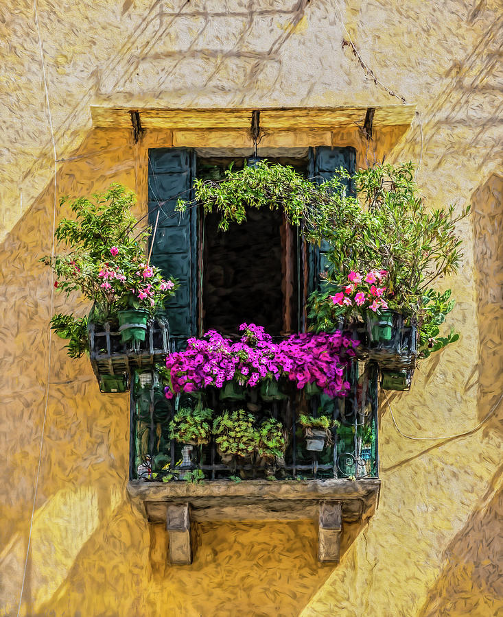 Flower Balcony of Venice Photograph by David Letts