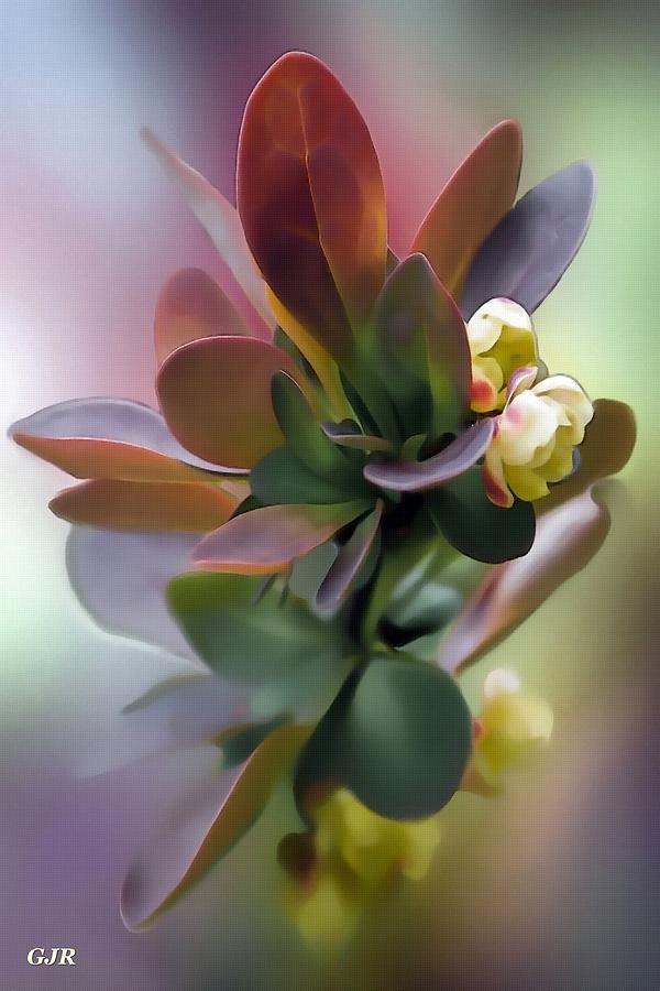Flower Beauty For Amanda Van Dam L A S Digital Art