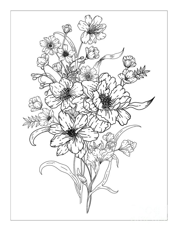 Detailed Simple Bouquet of Flowers Drawing
