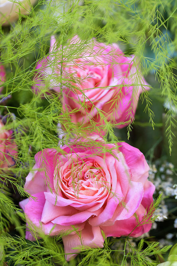 Flower bouquet with pink roses Photograph by Karen Kaspar
