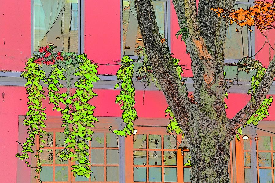 Flower Box and Tree Color Sketch Photograph by Jerry Sodorff