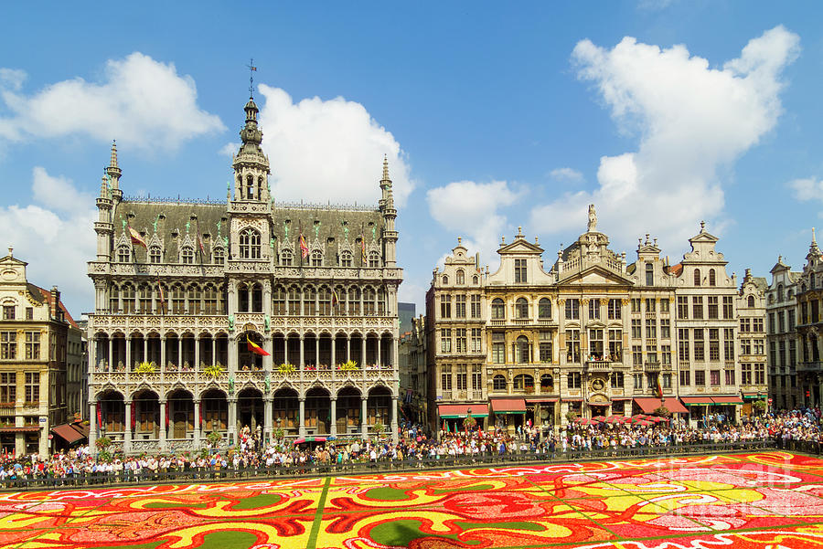 Flower carpet, Grand place, Brussels, Belgium, Europe Photograph by Neale And Judith Clark