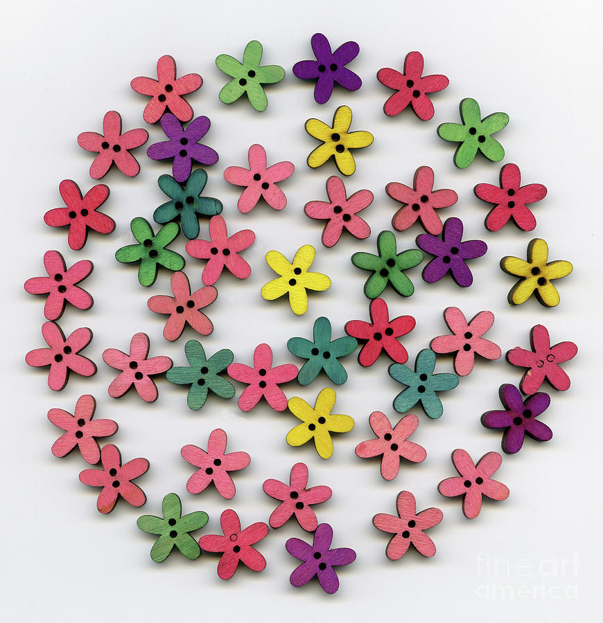 Flower Circles Digital Art by Norma Appleton