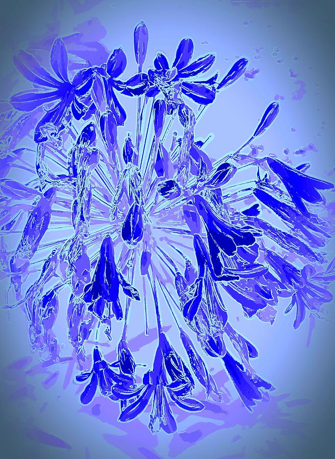 Flower Cluster in Blue Photograph by Loraine Yaffe