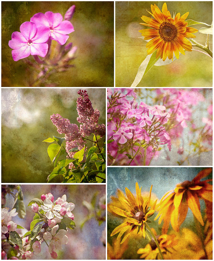 Flower Collage. Photograph