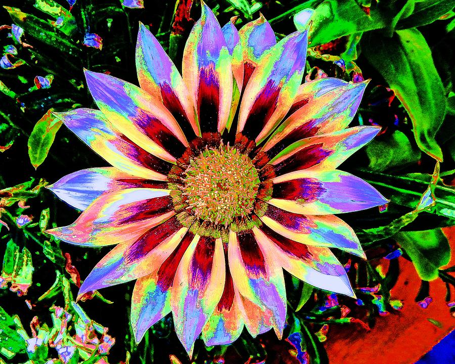 Flower Fantasy 3 Photograph by Andrew Lawrence