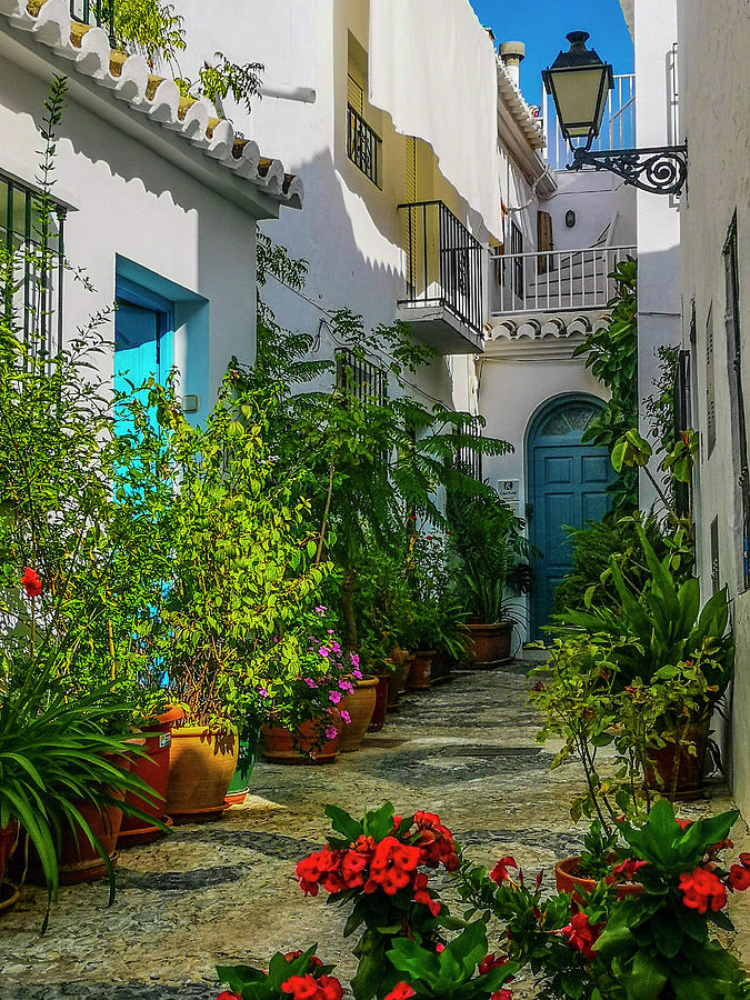 Flower Filled Alley in Frigiliana, Malaga Province, Andalucia, Spain Photograph by Panoramic Images