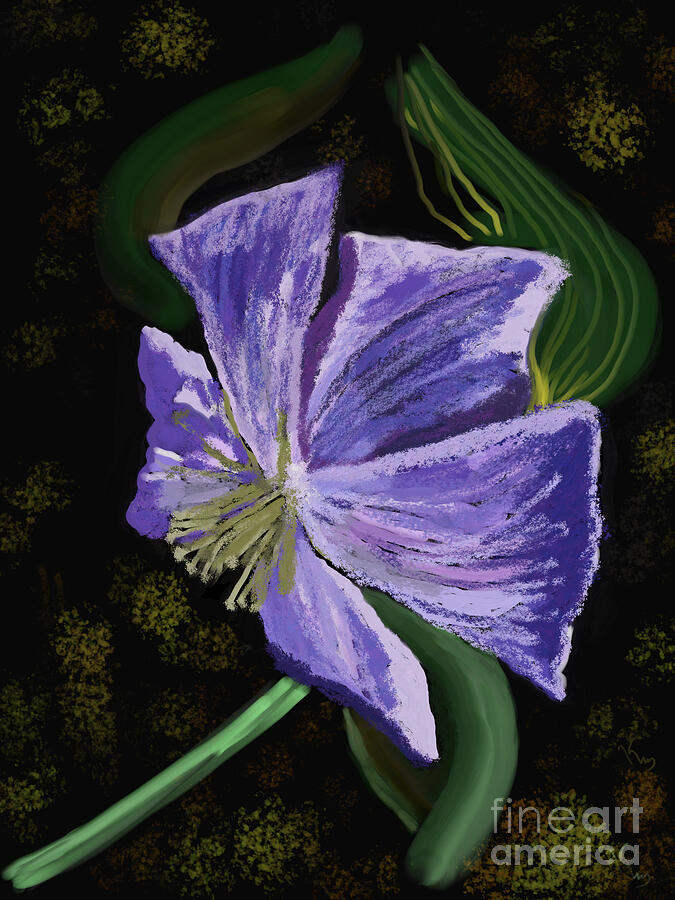 Flower Firework Digital Art by Katia Witkowski - Pixels