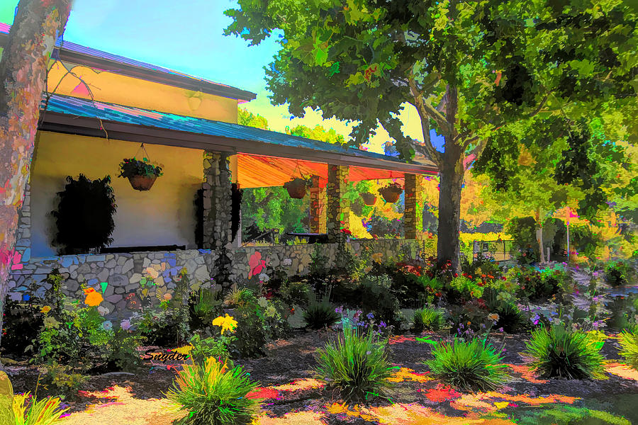 Flower Garden at Fess Parker Winery Photograph by Barbara Snyder