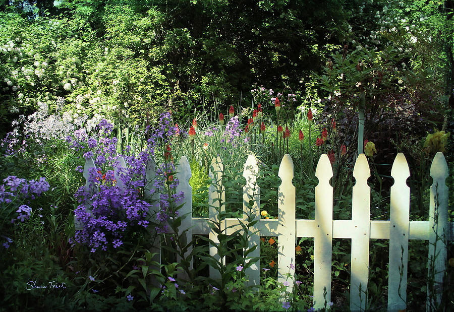 Flower Garden Behind a Picket Fence Photograph by Sherrie Triest