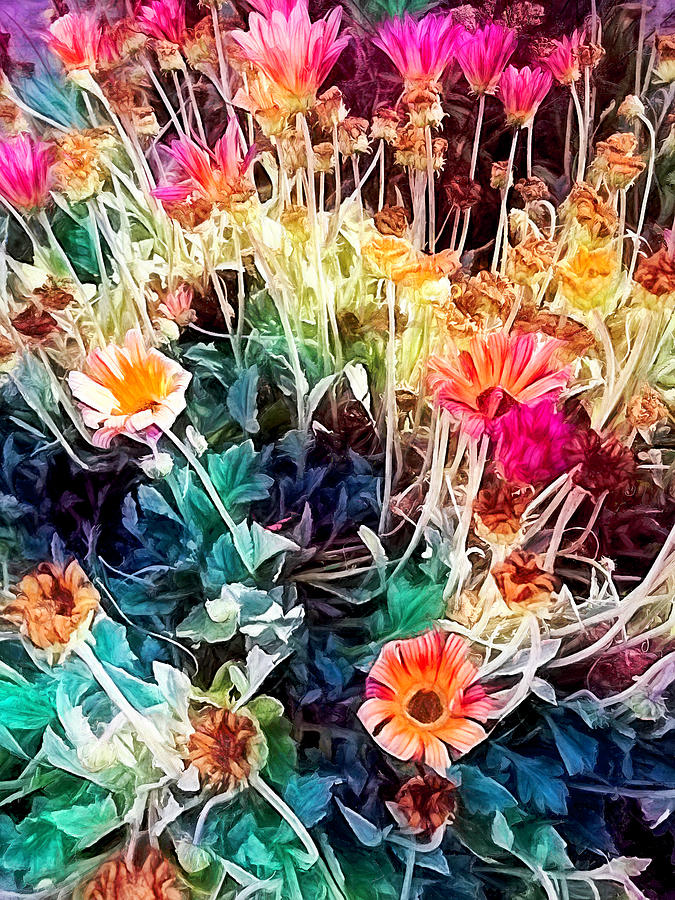 Flower Garden In Living Color Photograph by Her Arts Desire