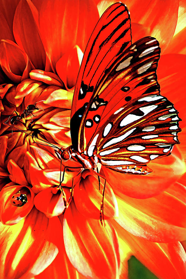 Flower Garden Digital Art by Larry Tingley
