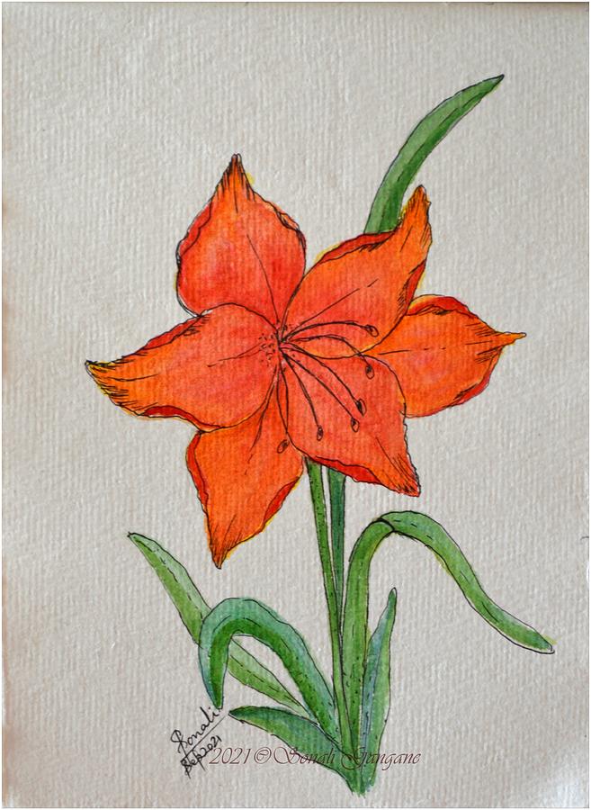 Flower Illustration Painting