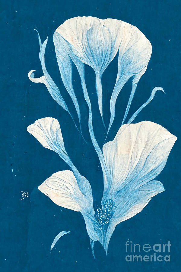 Flower In Blue And White Digital Art