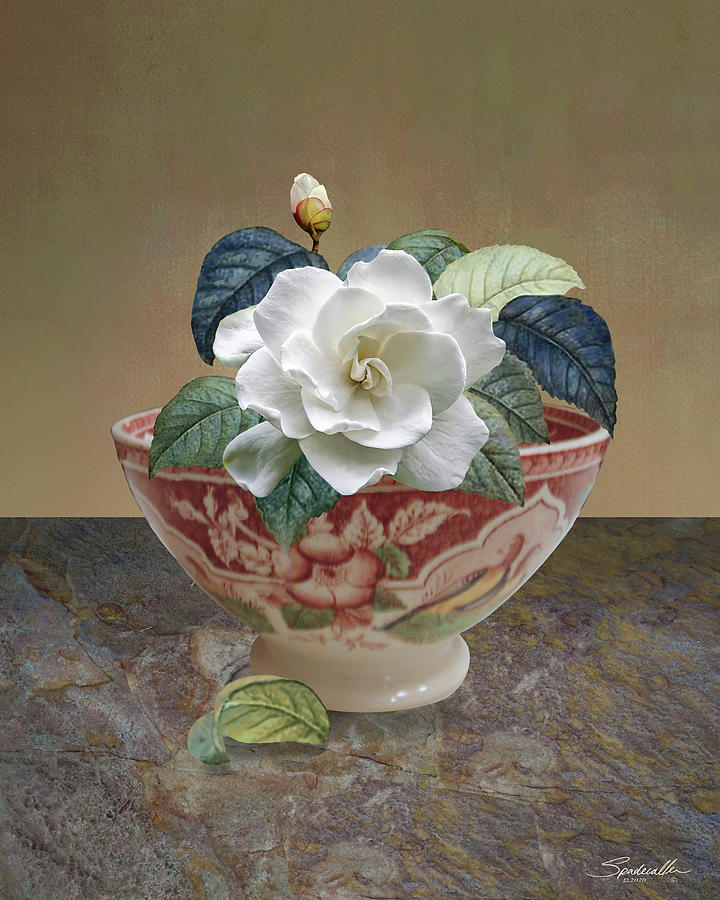 Flower in Soup Bowl Digital Art by M Spadecaller