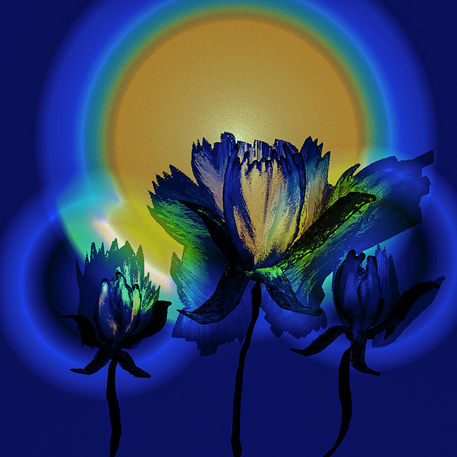 Flower light #j3 Digital Art by Leif Sohlman