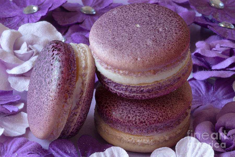 Cookie Photograph - Flower Macarons by Elisabeth Lucas