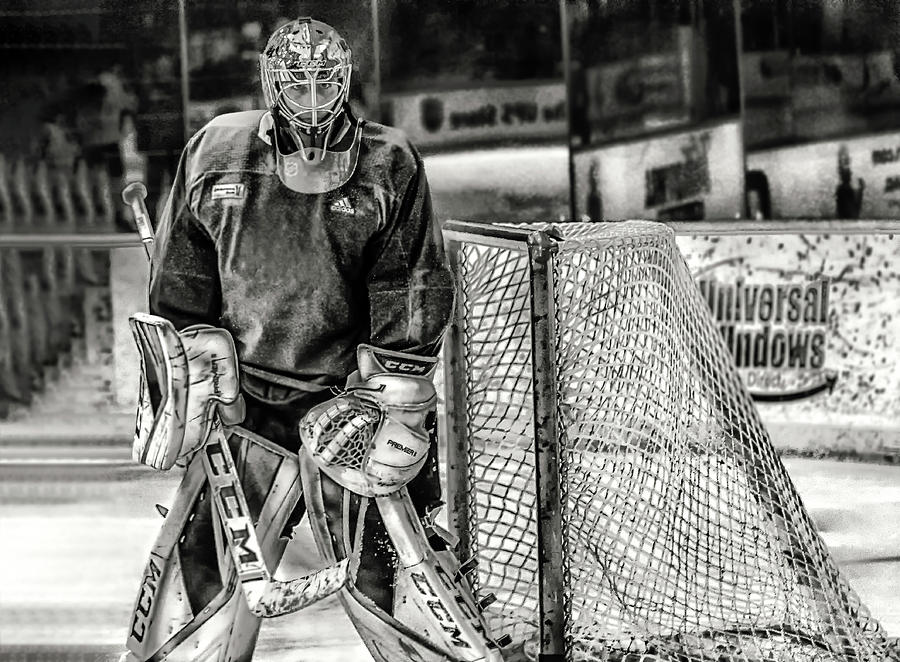 Flower Marc Andre Fleury by Michael Rogers Flower Marc Andre Fleury by Michael Rogers