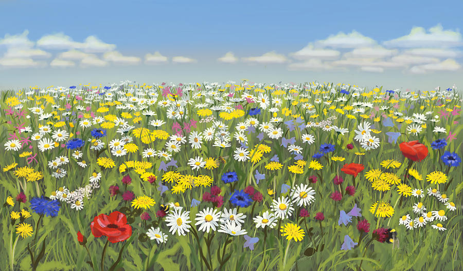 Flower meadow Painting by Constanza Weiss