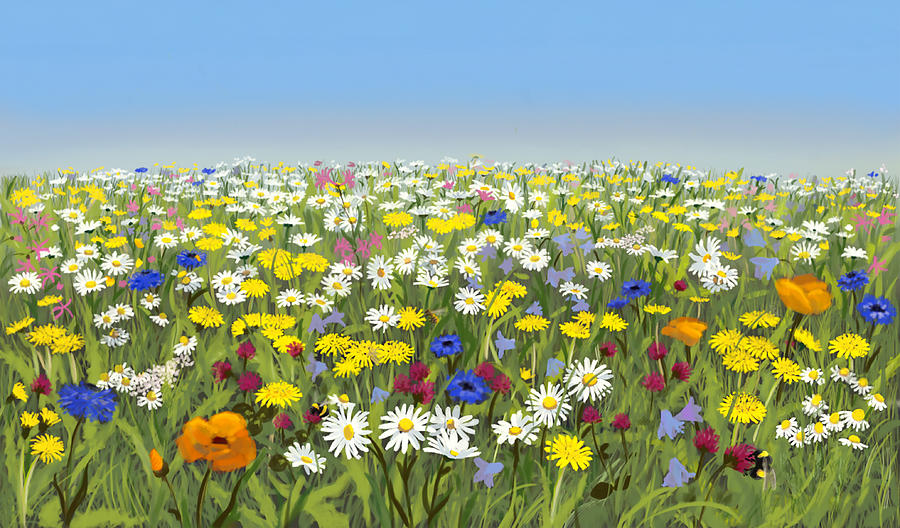 Flower meadow under blue sky Painting by Constanza Weiss
