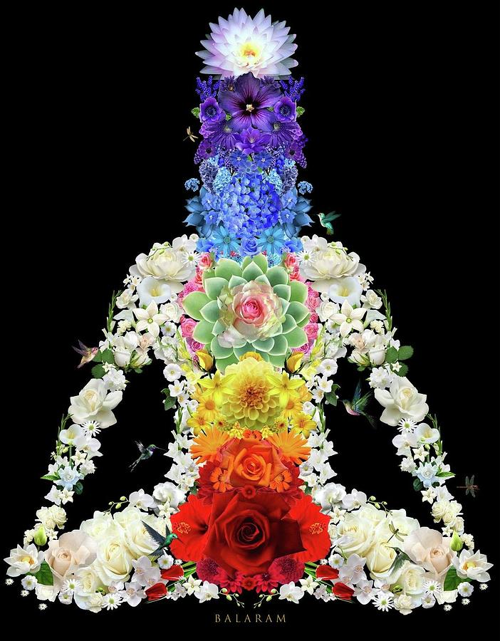 Flower Meditation Digital Art by Richard Laeton