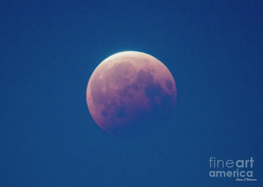 Flower Moon Eclipse Photograph by Steven Natanson