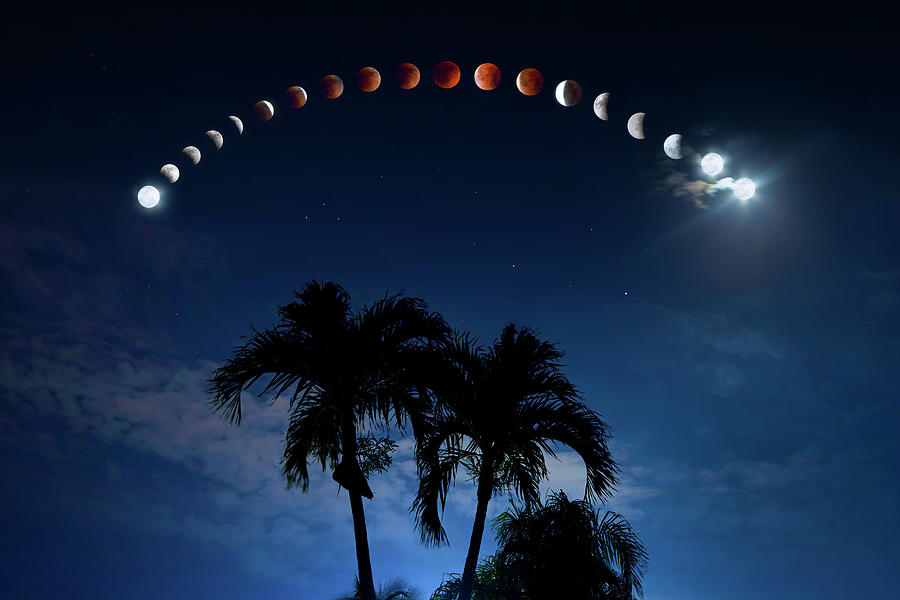 Flower Moon Lunar Eclipse Photograph