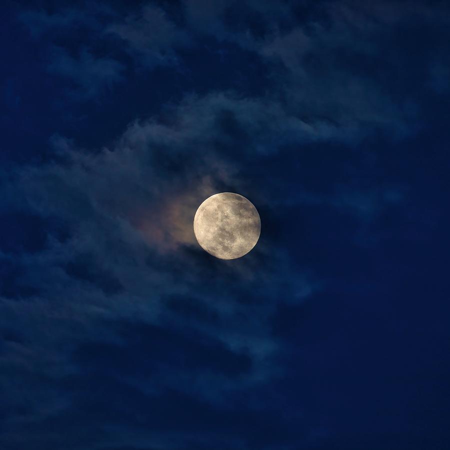 Flower Moon Photograph by Lynn Hopwood