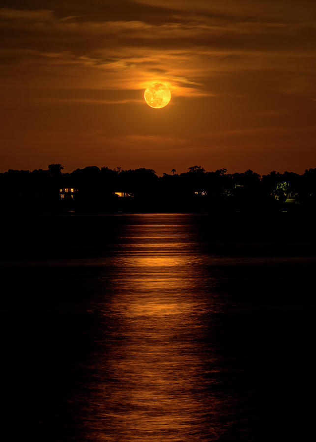 Flower Moon Over Clearwater Photograph by Kim Wilder Hinson - Pixels