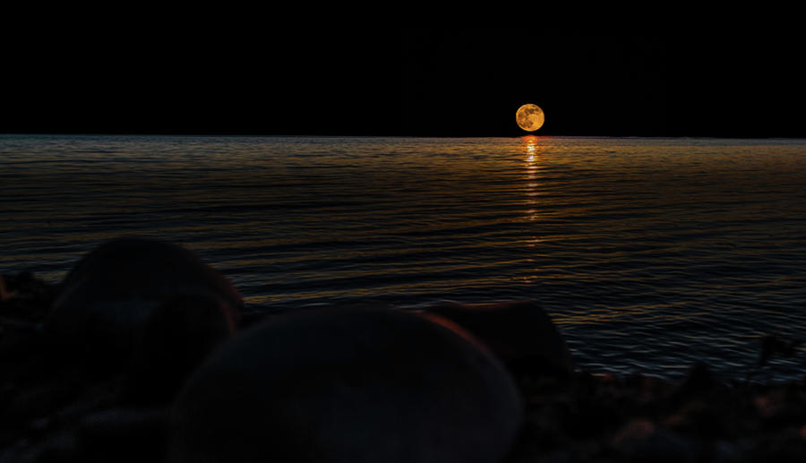 Flower Moon over Higgins Lake Photograph by Joe Holley