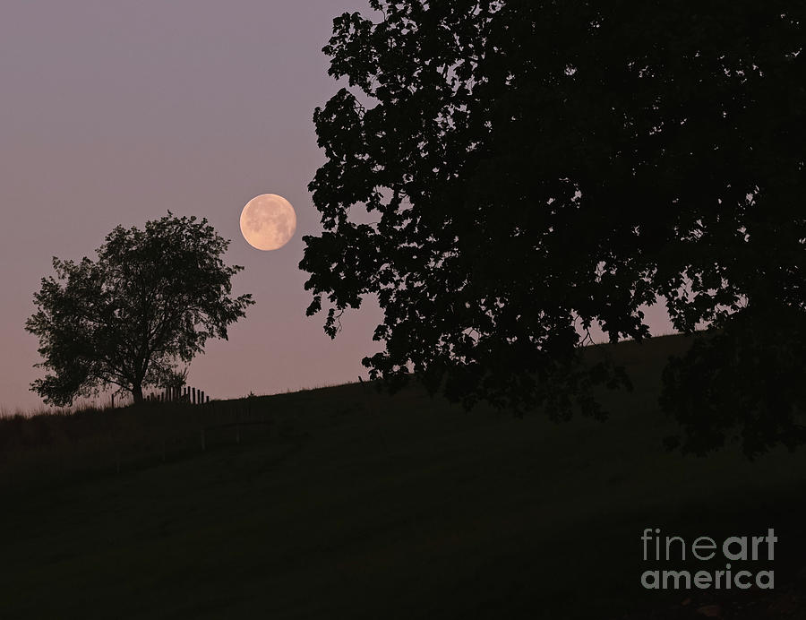 Flower Moon Setting  Photograph by Laura Honaker