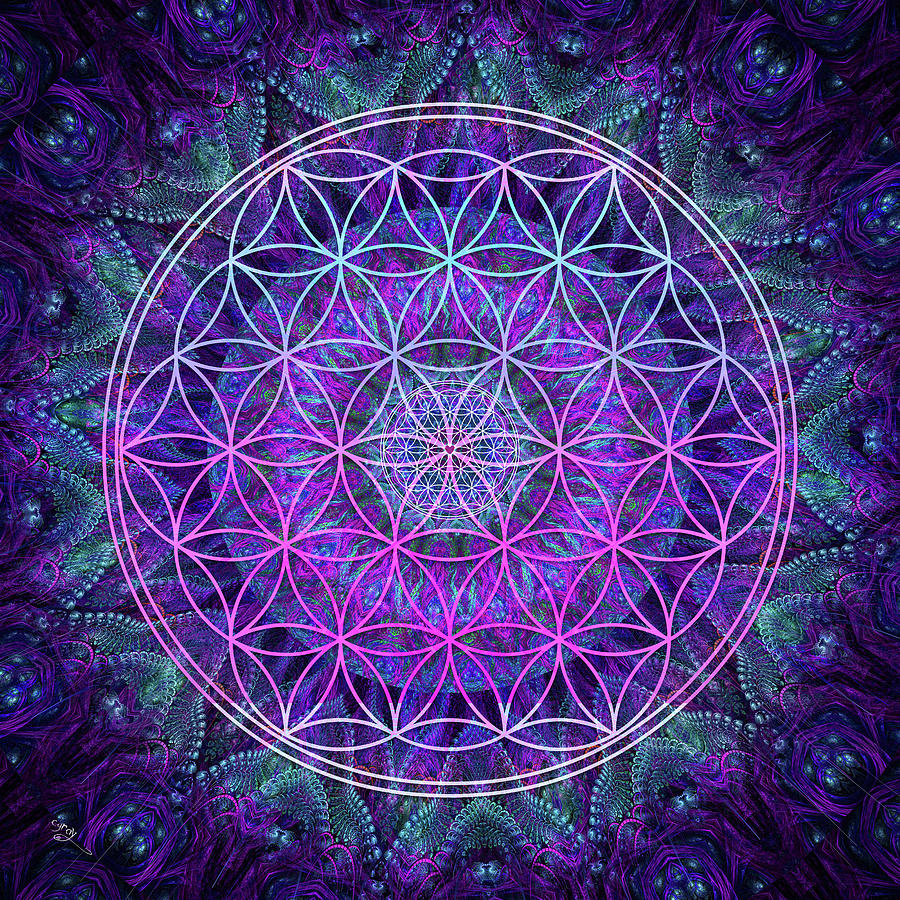 Abstract Digital Art - Flower of Life by Cameron Gray