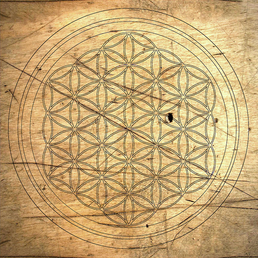 Flower Of Life_16 Photograph