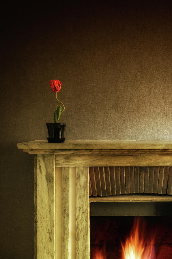 Vintage Photograph - Flower on Fireplace by Carlos Caetano