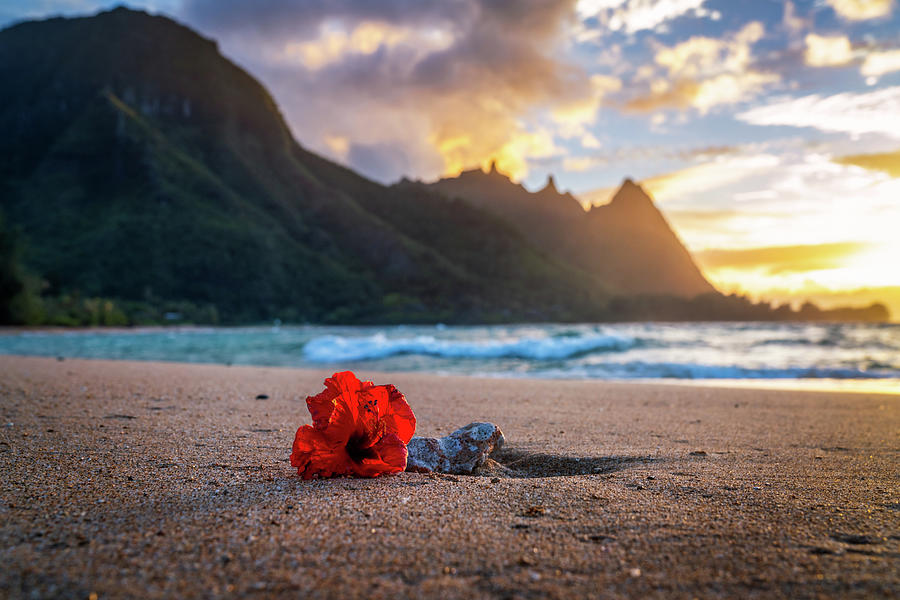 Flower on Kauai Beach at Sunset Photograph by James Udall