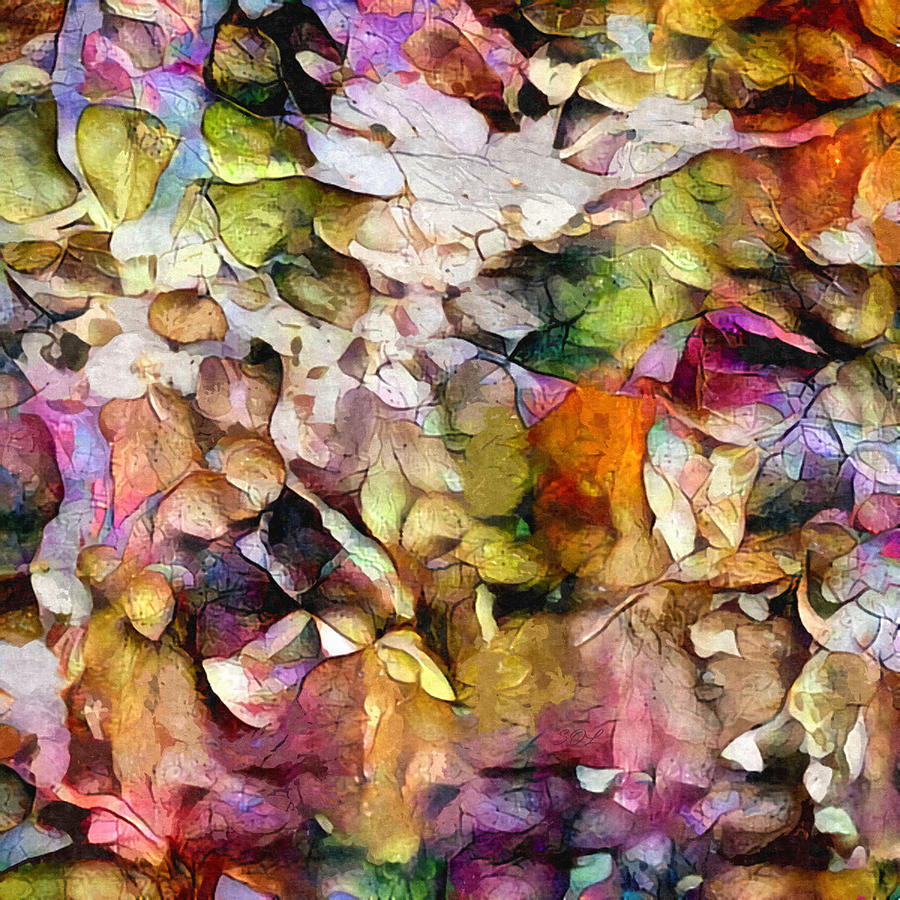 Flower Petals Abstract Pattern Mixed Media by Sandi OReilly