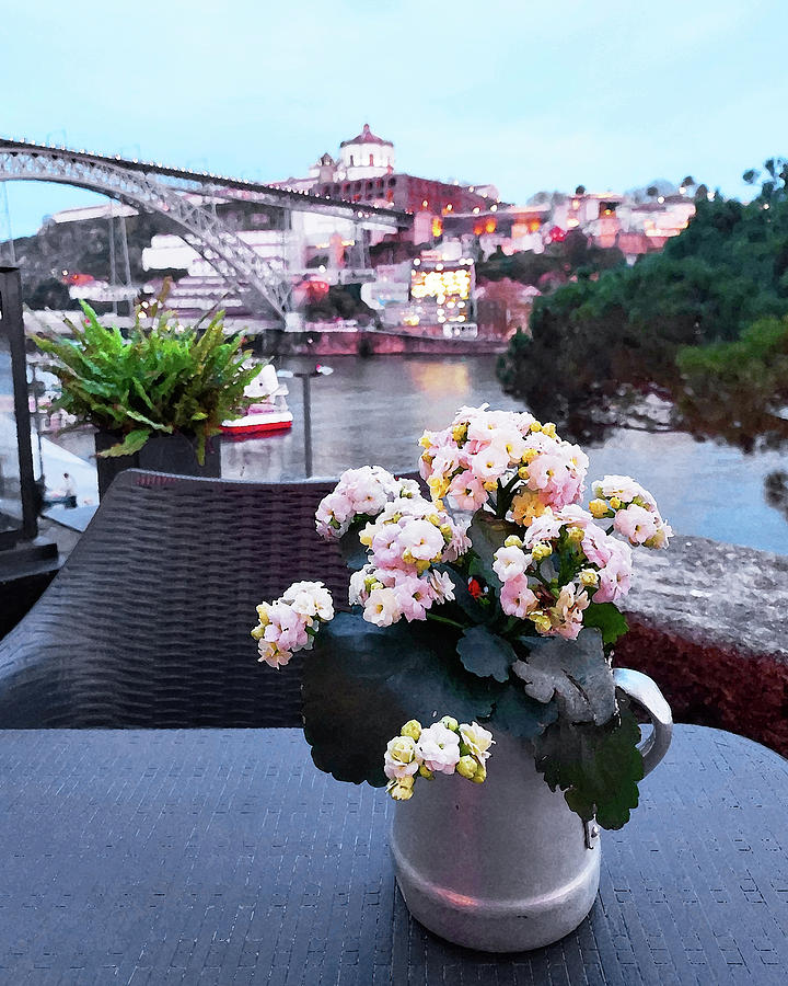 Flower Pot With The View Of Luis I Bridge Ponte Over Douro River Old Town Porto Portugal Digital Art by Irina Sztukowski