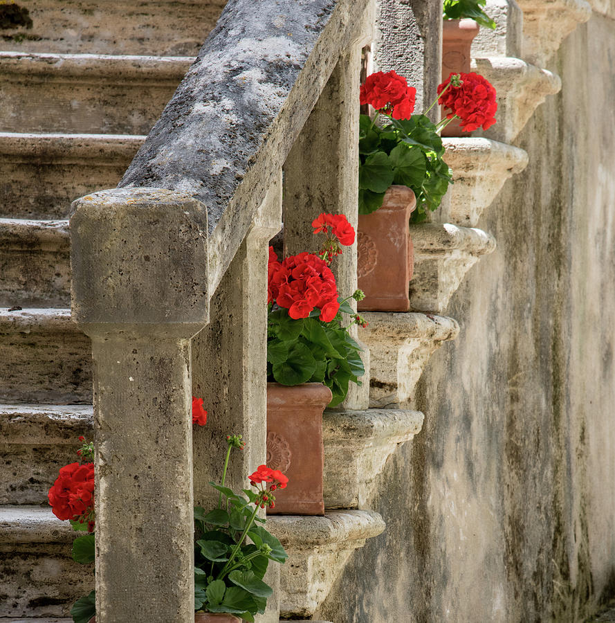 Flower Pots, Tuscany, Italy Photograph by Sarah Howard