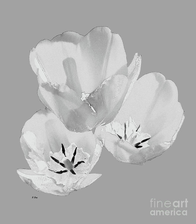 Flower Power Black and White Mixed Media by Sharon Williams Eng