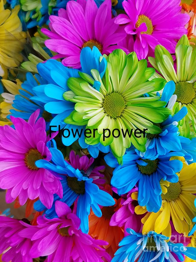 Flower Power Photograph by Jimmy Chuck Smith