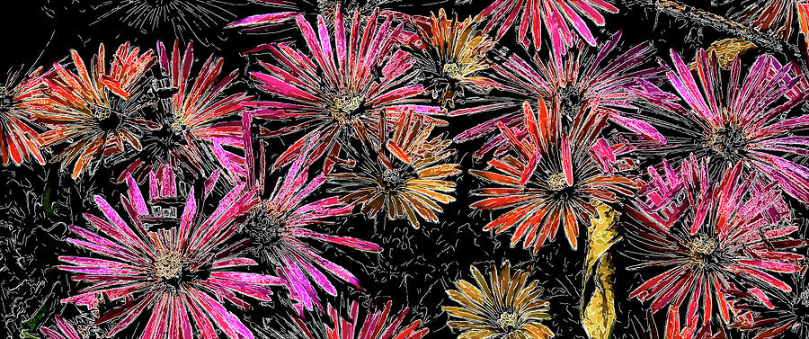 Flower Power Long Digital Art by Terry Cork