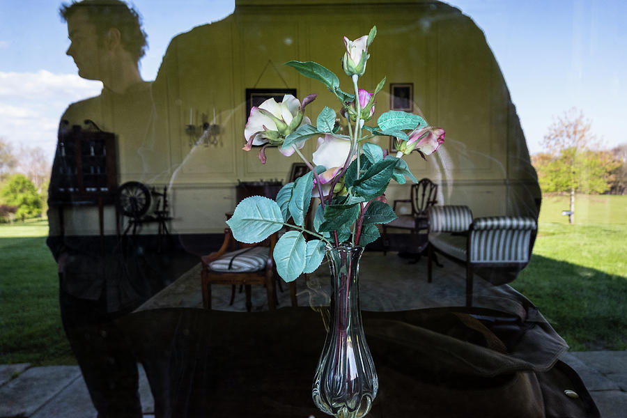 Flower reflection Photograph by Alexander Farnsworth