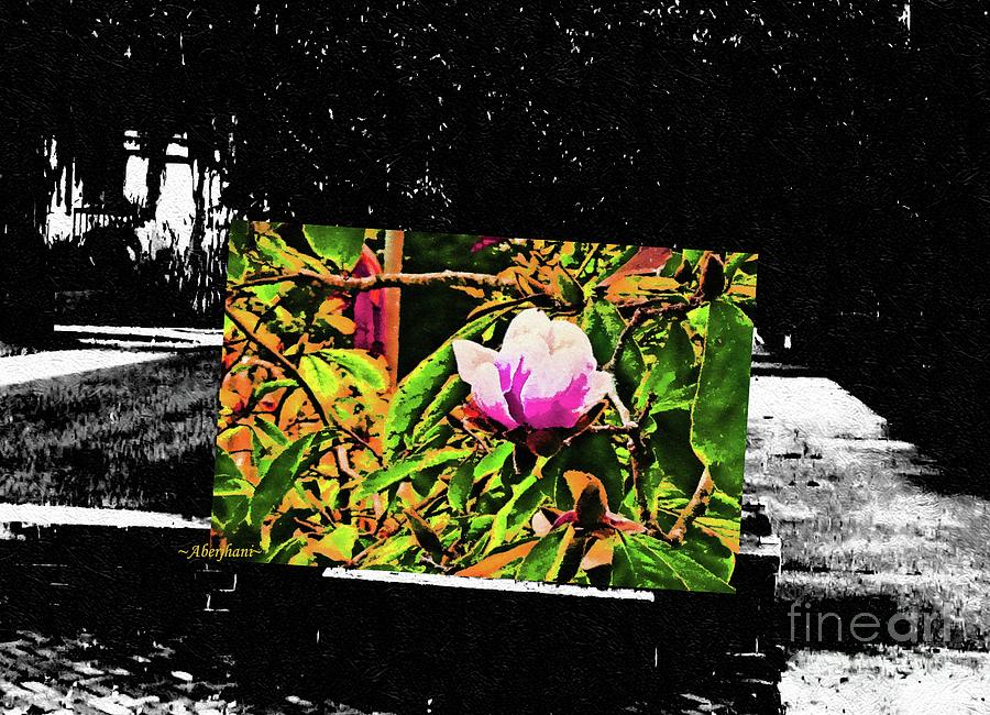 Flower Resting On A Park Bench In The Middle Of A War Zone Mixed Media by Aberjhani