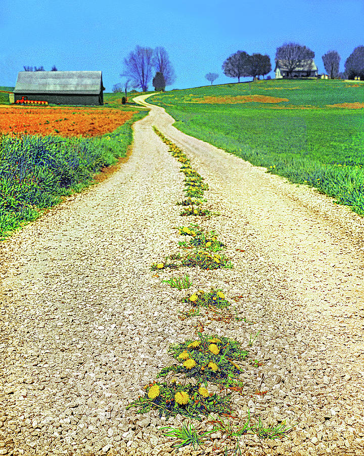Flower Road Photograph by Don Schimmel