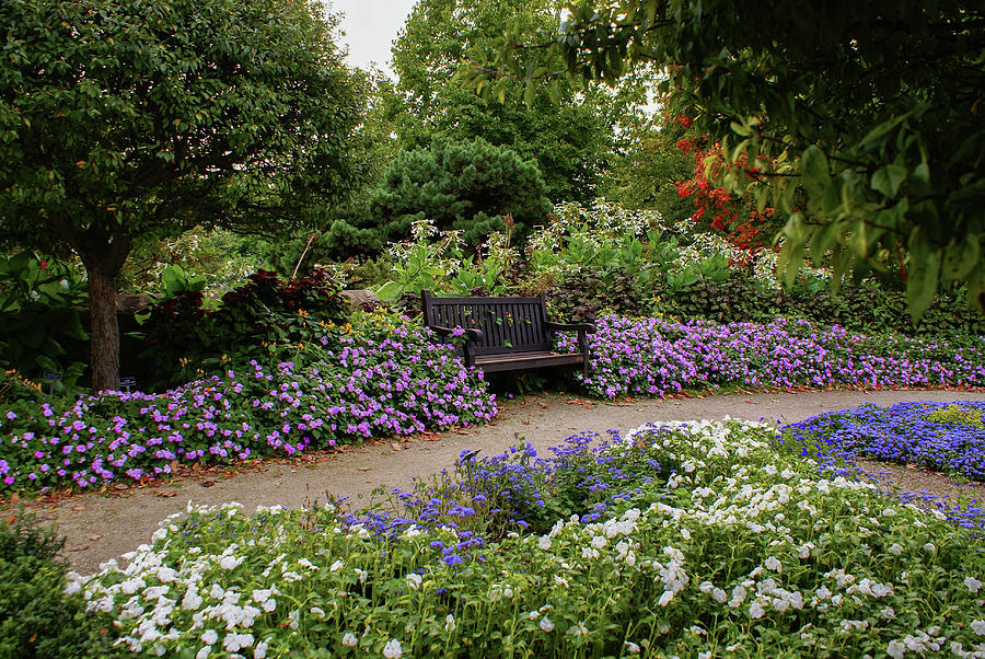 Flower Seating Photograph by Deb Beausoleil