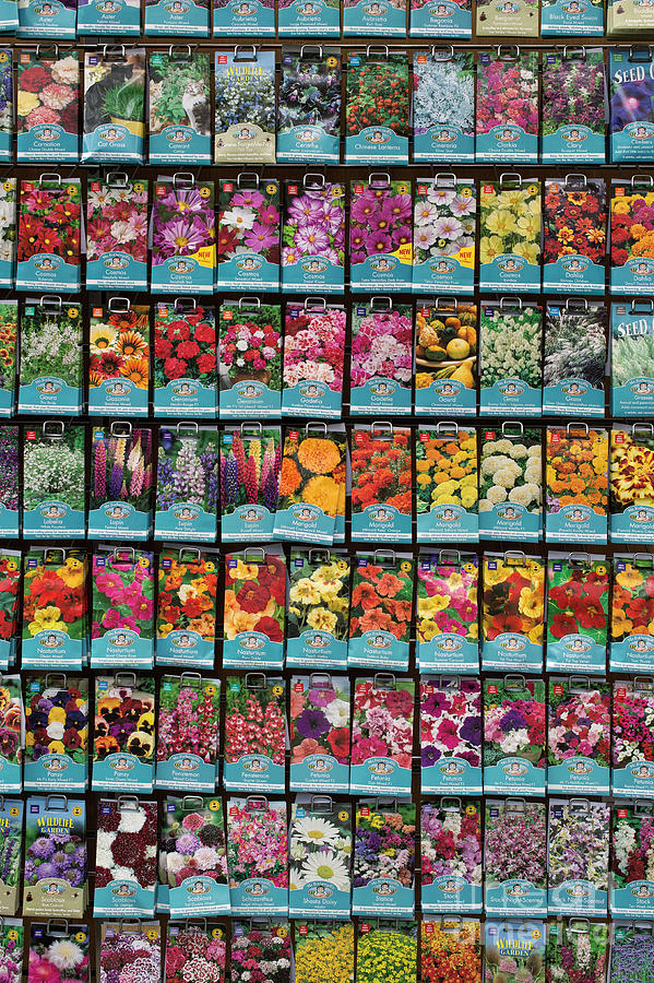 Flower Seed Packet Display Photograph by Tim Gainey