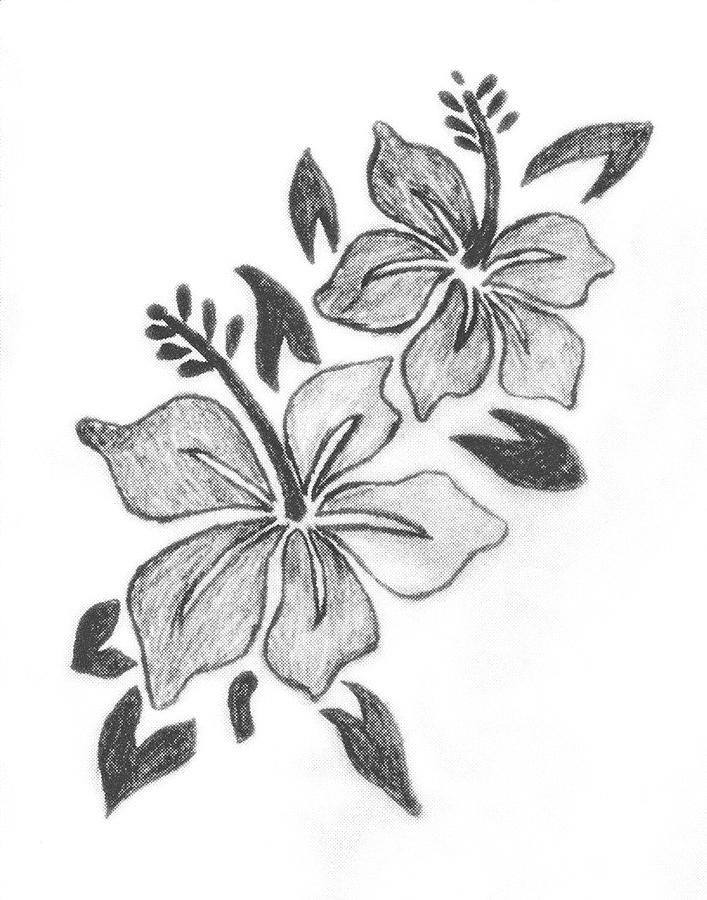 Flower Drawing - Flower Sketch Version 5 by Sandeep Choudhary Flower Drawing - Flower Sketch Version 5 by Sandeep Choudhary